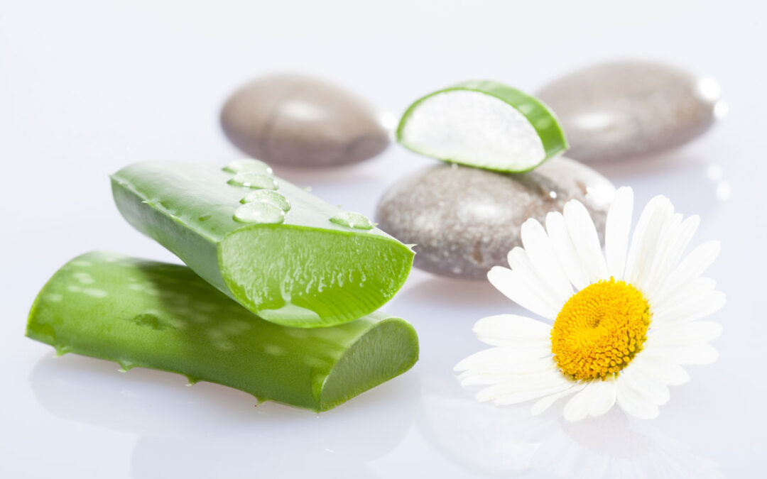 Aloe vera e camomilla